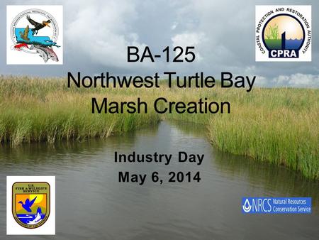Industry Day May 6, 2014. 760 Acres Semi-confined placement Pipe will be moved frequently No dewatering structures Marsh will be at different elevations.