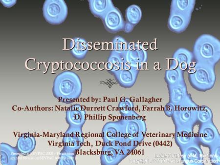 Disseminated Cryptococcosis in a Dog Presented by: Paul G. Gallagher Co-Authors: Natalie Durrett Crawford, Farrah B. Horowitz, D. Phillip Sponenberg Virginia-Maryland.