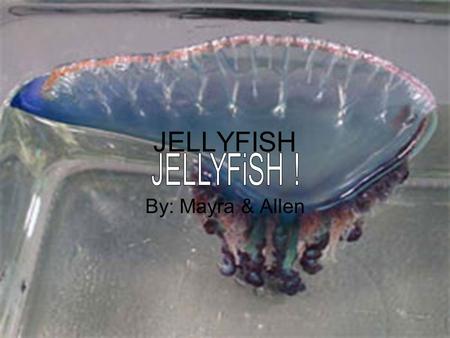 JELLYFISH By: Mayra & Allen. Jellyfish are members of the phylum Cnidaria, a structurally simple marine group of both fixed and mobile animals: sea anemones,