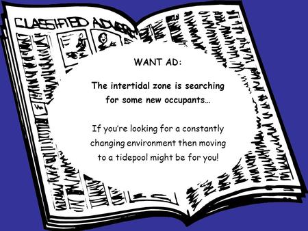 WANT AD: The intertidal zone is searching for some new occupants… If you’re looking for a constantly changing environment then moving to a tidepool might.