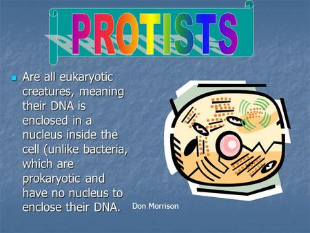 Are all eukaryotic creatures, meaning their DNA is enclosed in a nucleus inside the cell (unlike bacteria, which are prokaryotic and have no nucleus to.