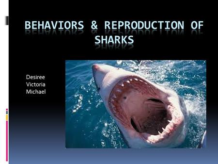 Behaviors & Reproduction of sharks