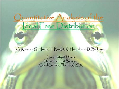 Quantitative Analysis of the Ideal Free Distribution G. Ramirez, G. Huete, T. Knight, K. Heard, and D. Bellinger University of Miami Department of Biology.