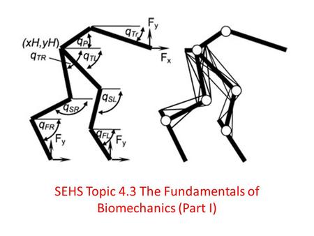 SEHS Topic 4.3 The Fundamentals of Biomechanics (Part I)