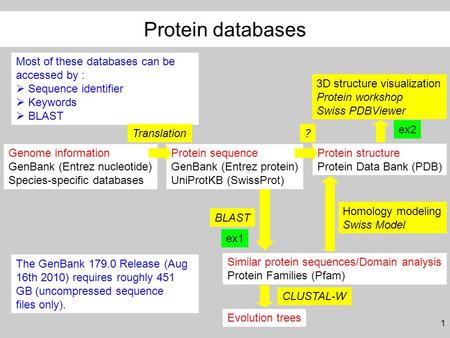1 Genome information GenBank (Entrez nucleotide) Species-specific databases Protein sequence GenBank (Entrez protein) UniProtKB (SwissProt) Protein structure.