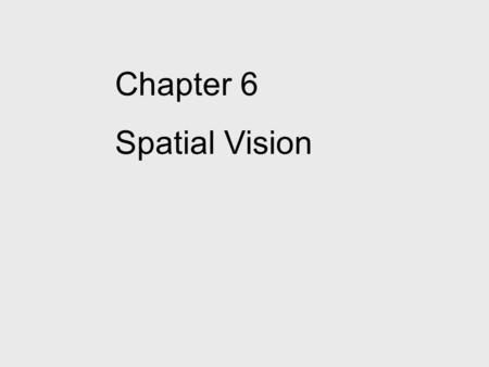 Chapter 6 Spatial Vision. The visual system recognizes objects from patterns of light and dark. We will focus on the mechanisms the visual system uses.