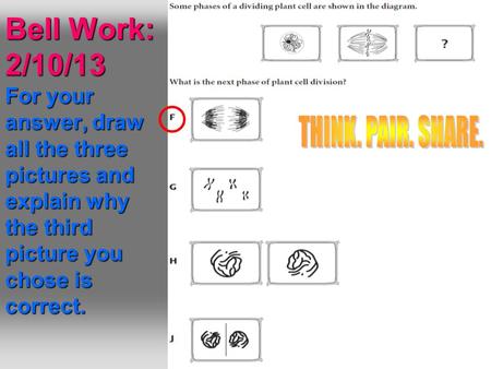 Bell Work: 2/10/13 For your answer, draw all the three pictures and explain why the third picture you chose is correct.