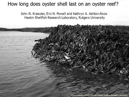 How long does oyster shell last on an oyster reef? Photo courtesy of David Bushek, Haskin Shellfish Research Laboratory John N. Kraeuter, Eric N. Powell.