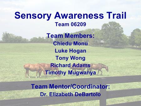 Sensory Awareness Trail Team 06209 Team Members: Chiedu Monu Luke Hogan Tony Wong Richard Adams Timothy Mugwanya Team Mentor/Coordinator: Dr. Elizabeth.