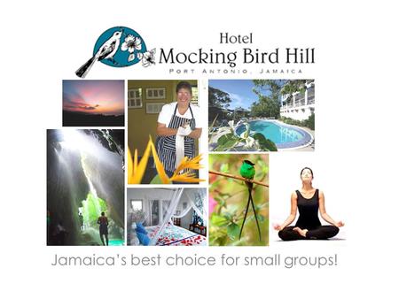 Jamaica’s best choice for small groups!. Outline All About Mockingbird Hill – Location – Unique features – Facilities – Activities nearby Suitable for.