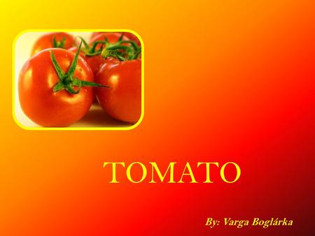 TOMATO By: Varga Boglárka. he word  tomato  may refer to the plant or the edible, typically red, fruit which it bears. Originating in South America,