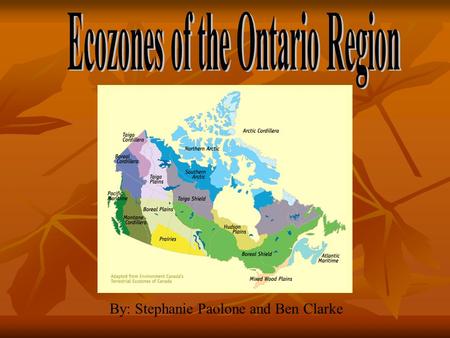 By: Stephanie Paolone and Ben Clarke. There are three Ecozone regions in Ontario: Hudson Plains Boreal Shield Mixedwood Plains.