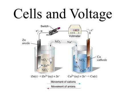 Cells and Voltage.
