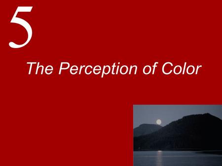 5 The Perception of Color. Basic Principles of Color Perception Color is not a physical property but a psychophysical property  “There is no red in a.