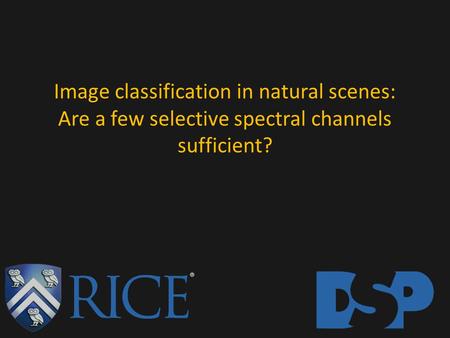 Image classification in natural scenes: Are a few selective spectral channels sufficient?