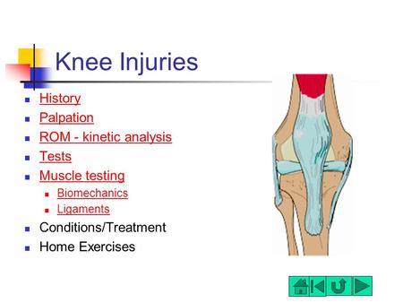 Knee Injuries History Palpation ROM - kinetic analysis Tests Muscle testing Biomechanics Ligaments Conditions/Treatment Home Exercises.