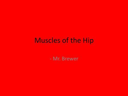Muscles of the Hip - Mr. Brewer.