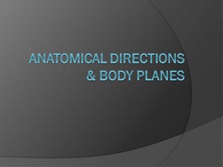 Anatomical Directions & Body Planes