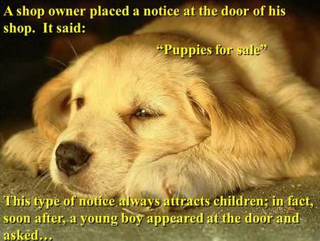 A shop owner placed a notice at the door of his shop. It said: “Puppies for sale” This type of notice always attracts children; in fact, soon after, a.