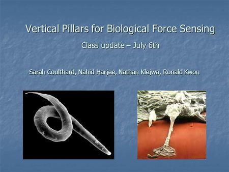 Vertical Pillars for Biological Force Sensing Class update – July 6th Sarah Coulthard, Nahid Harjee, Nathan Klejwa, Ronald Kwon.