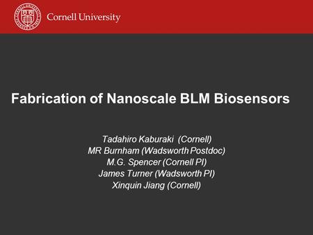 Fabrication of Nanoscale BLM Biosensors Tadahiro Kaburaki (Cornell) MR Burnham (Wadsworth Postdoc) M.G. Spencer (Cornell PI) James Turner (Wadsworth PI)