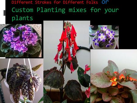 Different Strokes for Different Folks or Custom Planting mixes for your plants.