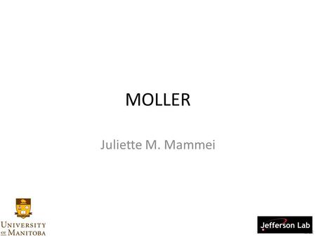 1/22 MOLLER Juliette M. Mammei. 2/22 Working Groups Polarized Source Hydrogen Target Spectrometer Integrating Detectors Tracking Detectors Polarized Beam.