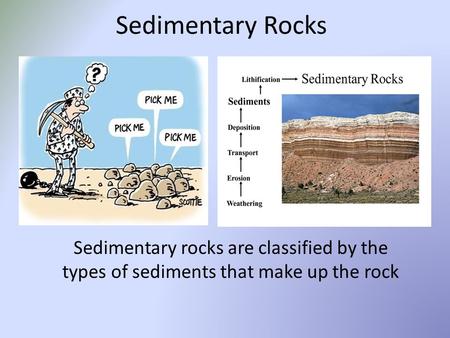 Sedimentary Rocks Sedimentary rocks are classified by the types of sediments that make up the rock.