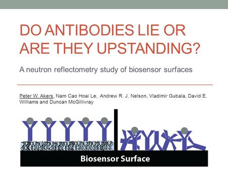DO ANTIBODIES LIE OR ARE THEY UPSTANDING? A neutron reflectometry study of biosensor surfaces Peter W. Akers, Nam Cao Hoai Le, Andrew R. J. Nelson, Vladimir.