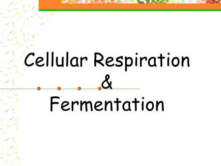 Cellular Respiration & Fermentation. Aerobic Cellular Respiration The process that involves oxygen and breaks down food molecules to release useable energy….