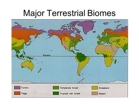 Major Terrestrial Biomes. What is a Biome? a complex biotic community characterized by distinctive plant and animal species and maintained under the climatic.
