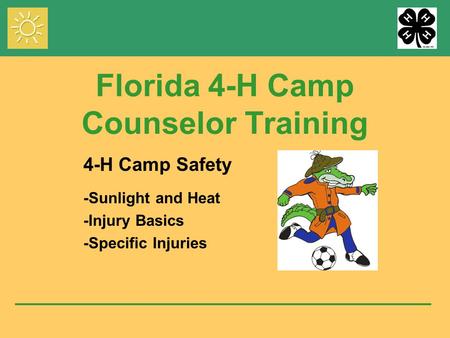 Florida 4-H Camp Counselor Training 4-H Camp Safety -Sunlight and Heat -Injury Basics -Specific Injuries.
