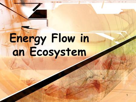 1 Energy Flow in an Ecosystem. 2 Energy Flow Energy in an ecosystem originally comes from the sunEnergy in an ecosystem originally comes from the sun.