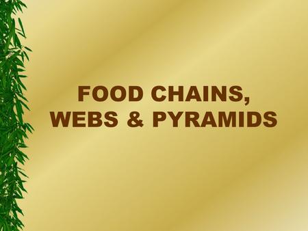 FOOD CHAINS, WEBS & PYRAMIDS. sun eclipse with palm the ultimate energy source.