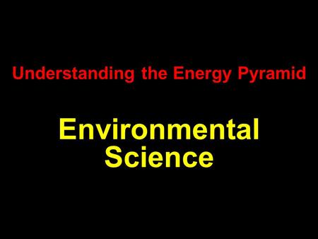 Understanding the Energy Pyramid Environmental Science.