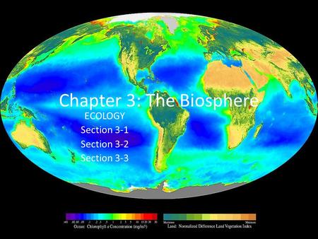Chapter 3: The Biosphere