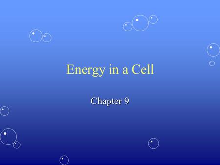 Energy in a Cell Chapter 9. Goals How cells get energyHow cells get energy PhotosynthesisPhotosynthesis Cellular RespirationCellular Respiration.