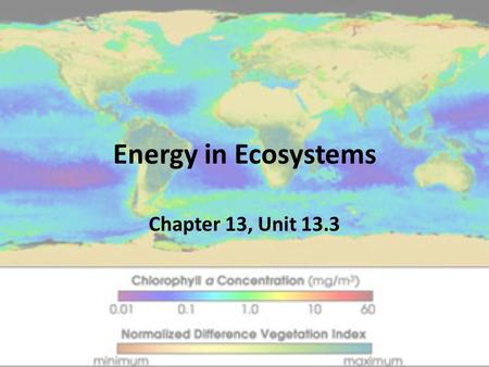 Energy in Ecosystems Chapter 13, Unit 13.3.