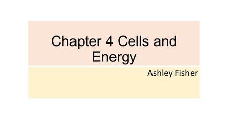 Chapter 4 Cells and Energy