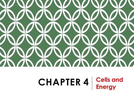 Chapter 4 Cells and Energy.