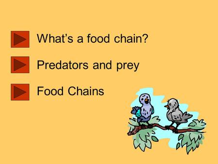 What’s a food chain? Predators and prey Food Chains.