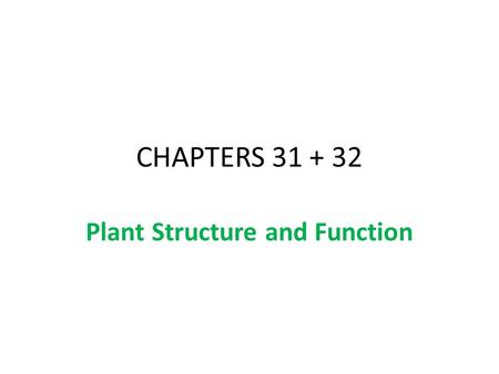 CHAPTERS 31 + 32 Plant Structure and Function. 31.3 Three Basic Parts of a Plant: Roots, Stems, and Leaves.