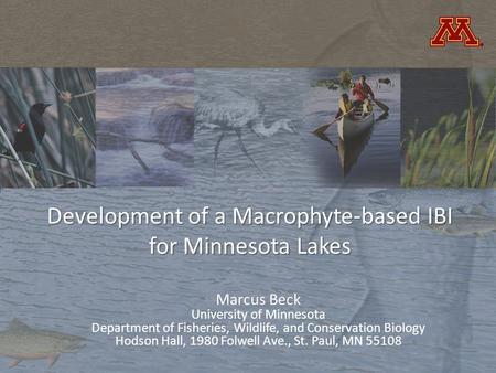 Development of a Macrophyte-based IBI for Minnesota Lakes