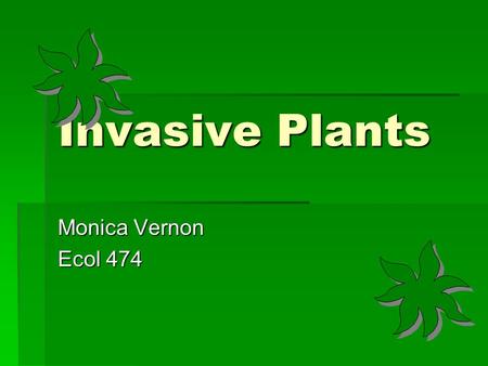 Invasive Plants Monica Vernon Ecol 474. What is an Invasive Plant? An invasive plant species is defined as one that has or is likely to spread and develop.
