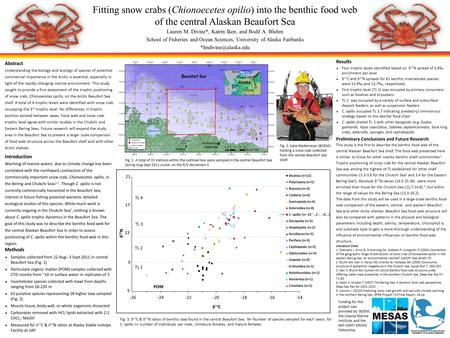Fitting snow crabs (Chionoecetes opilio) into the benthic food web of the central Alaskan Beaufort Sea Lauren M. Divine*, Katrin Iken, and Bodil A. Bluhm.