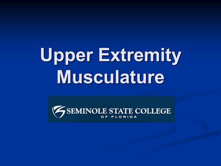 Upper Extremity Musculature