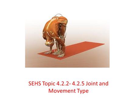 SEHS Topic Joint and Movement Type