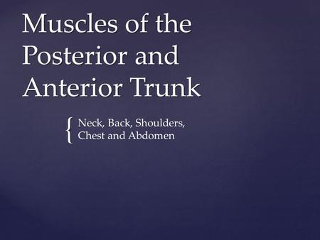 Muscles of the Posterior and Anterior Trunk