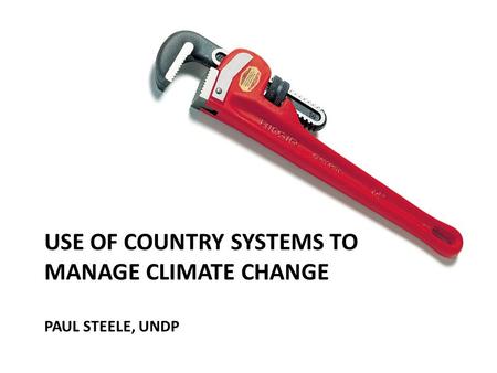 USE OF COUNTRY SYSTEMS TO MANAGE CLIMATE CHANGE PAUL STEELE, UNDP.
