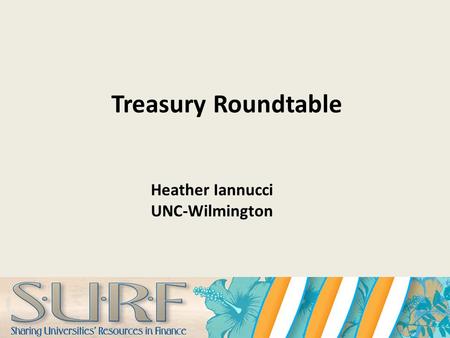 Treasury Roundtable Heather Iannucci UNC-Wilmington.